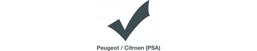 Peugeot / Citroen (PSA)